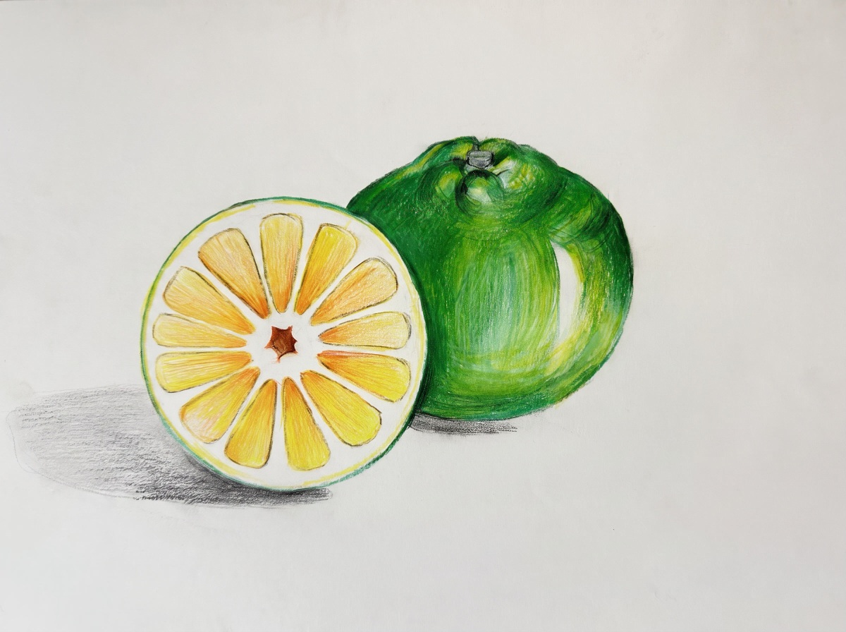 Citrus Study