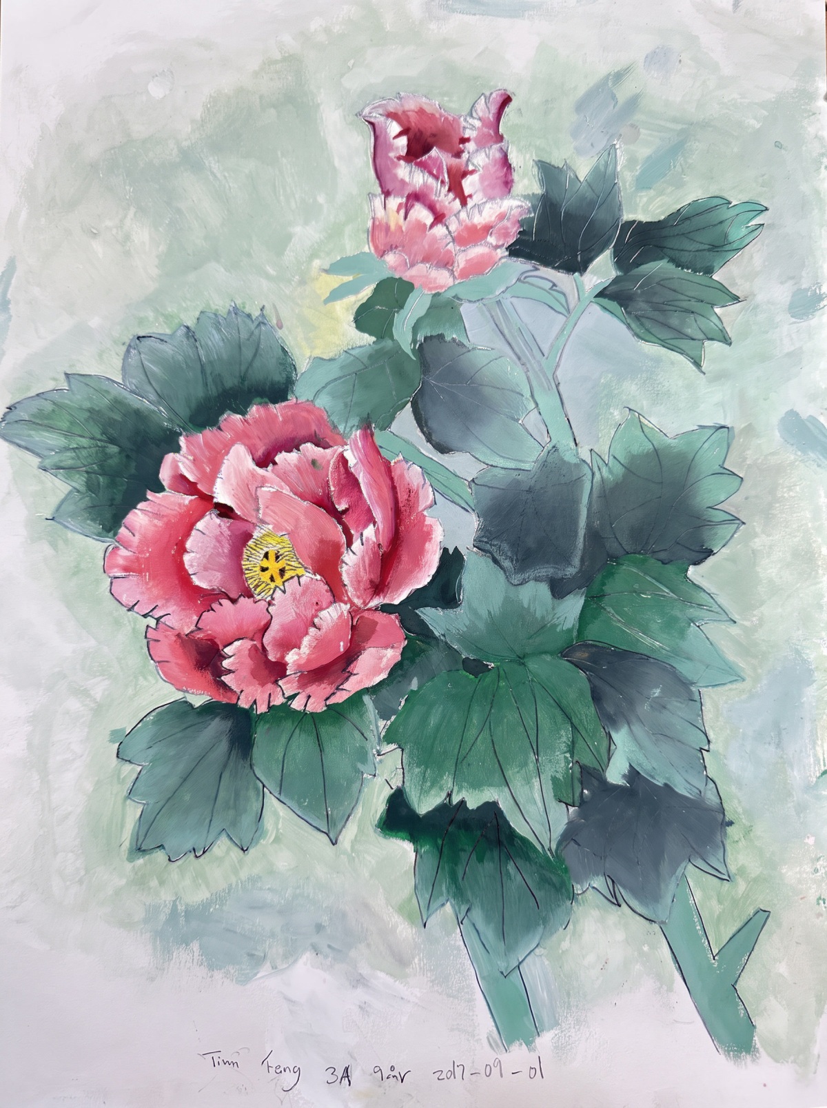Peonies