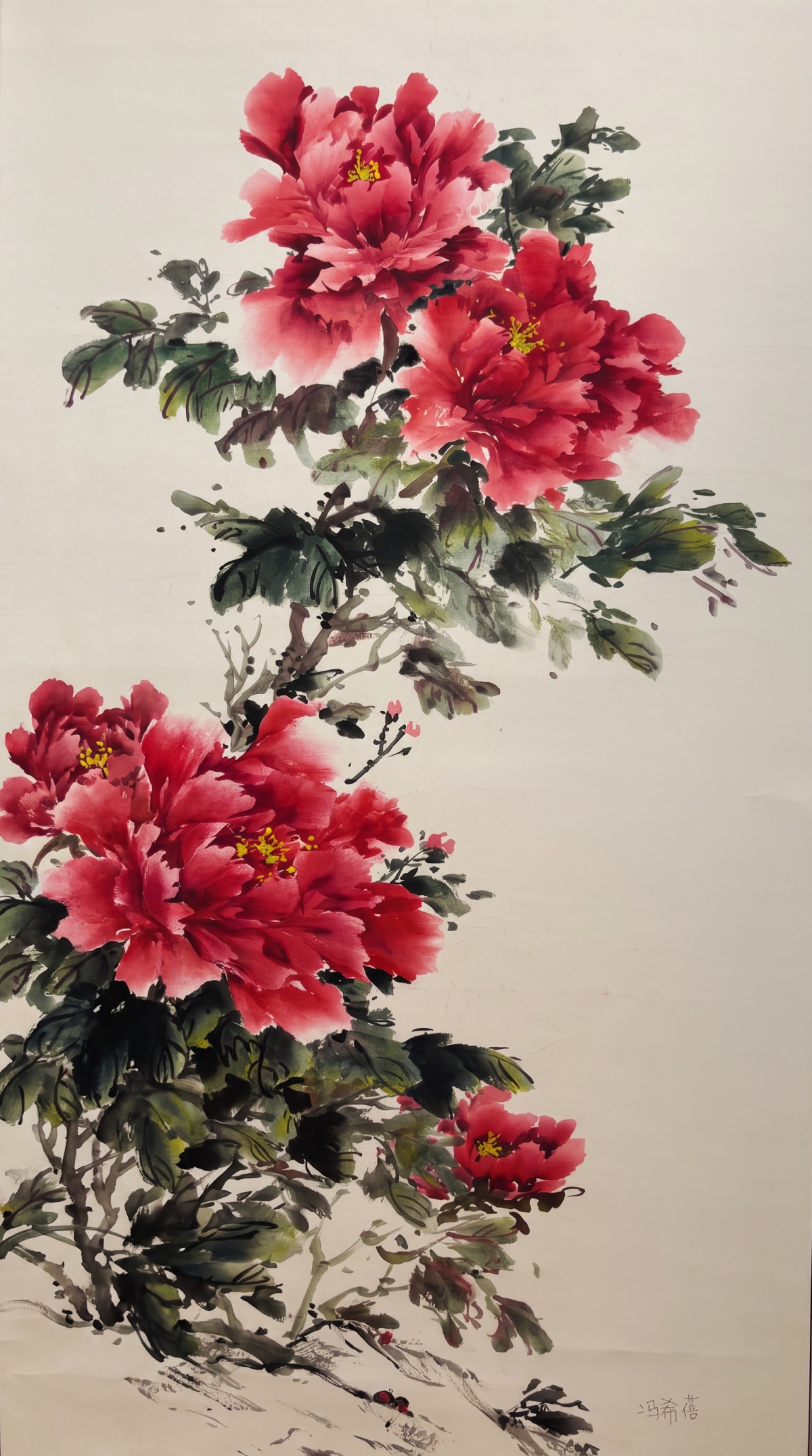 Peonies Scroll