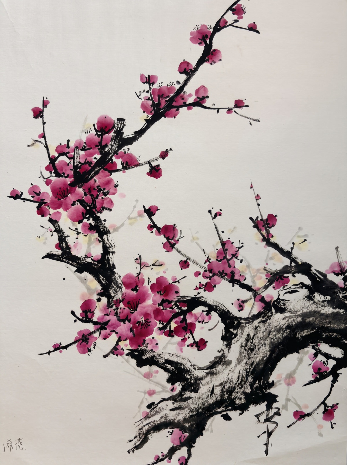 Plum Blossoms
