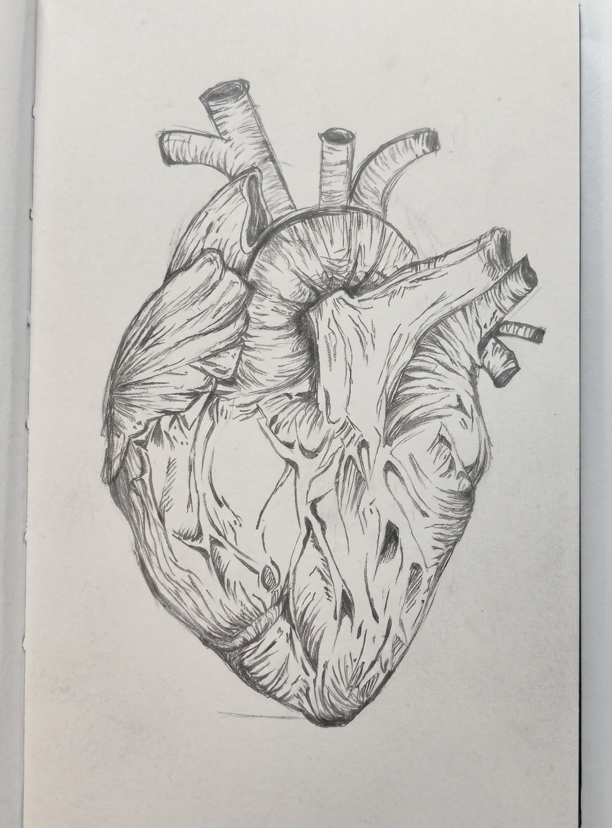 Heart Study