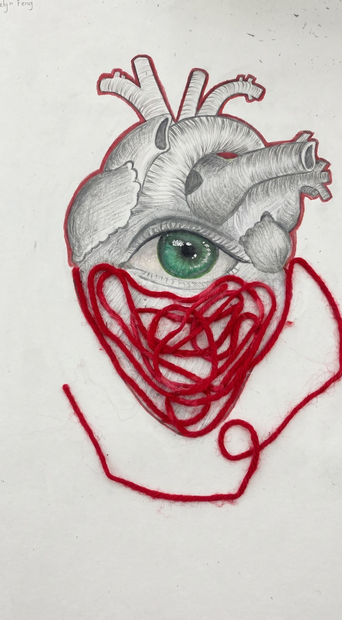 Anatomy of Feeling