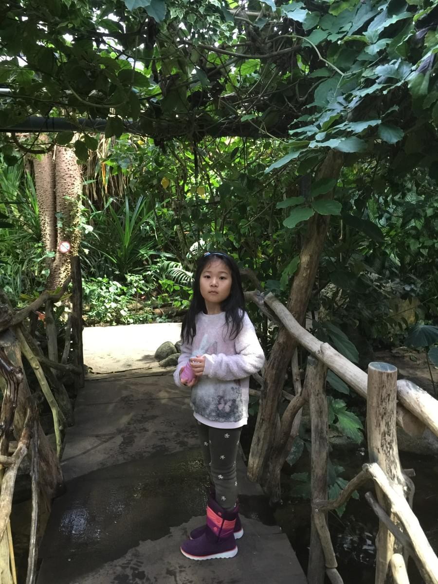 Aquarium visit