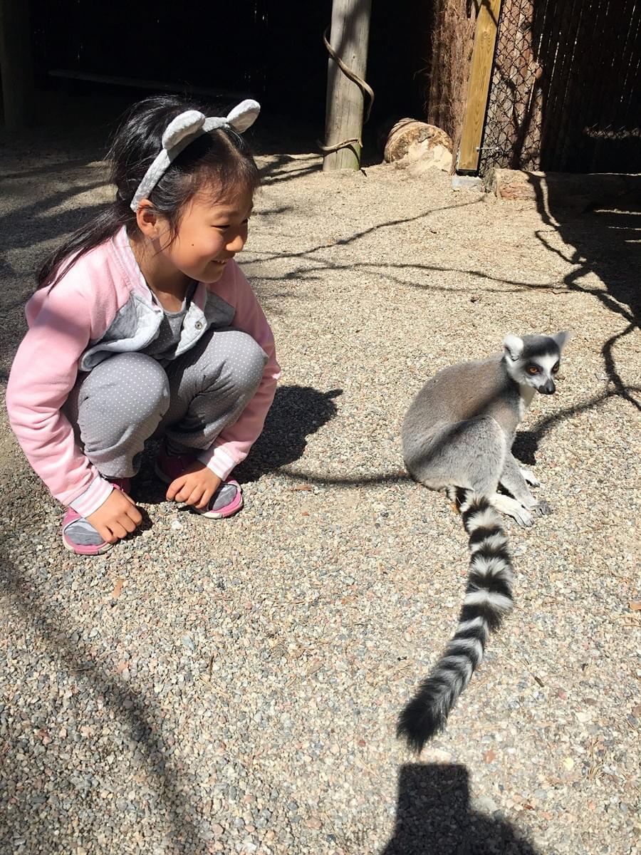 Zoo day