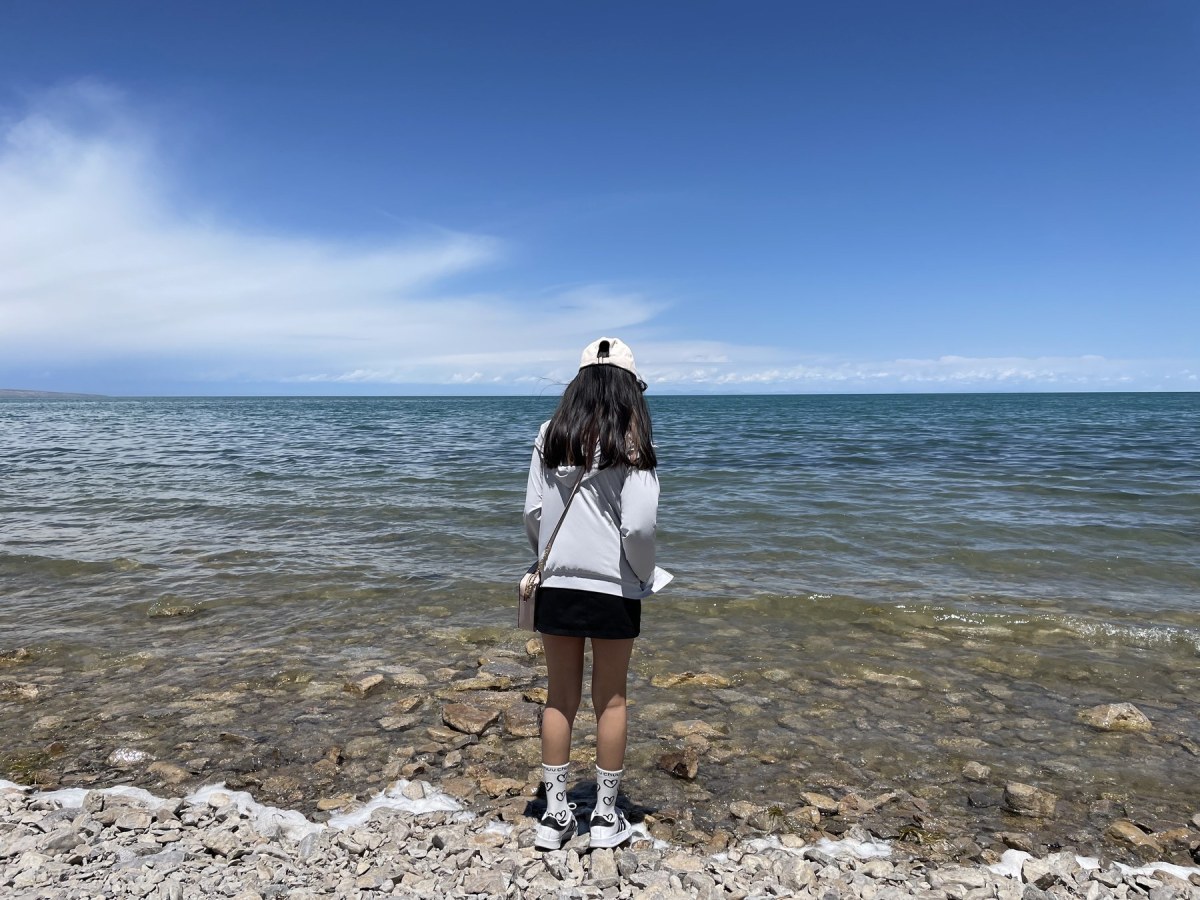 Looking out from a rocky shore