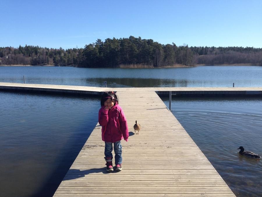 Feeding ducks