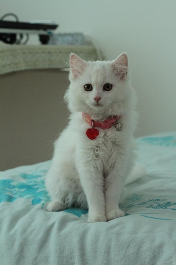 Do I look beautiful?