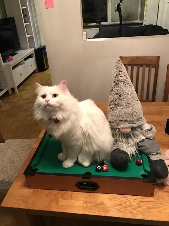 Play billiards with me