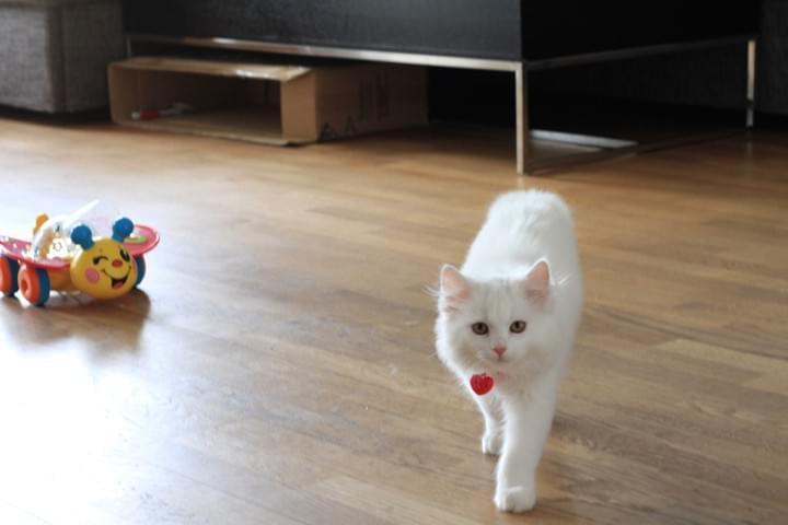 Don't rush me, I'm coming