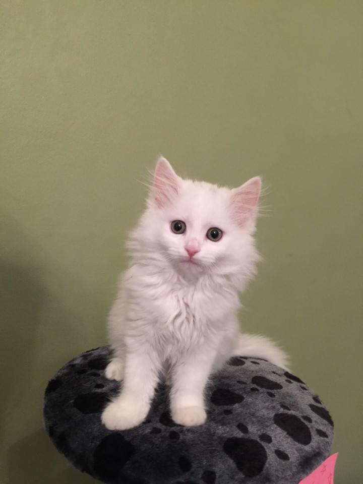 Look at these eyes — so big!