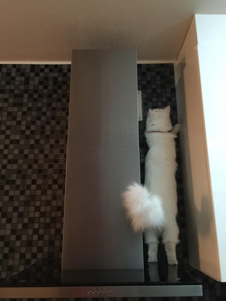 No worries, I'm going to fix it