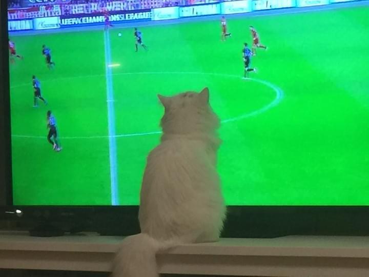 Watching the football game