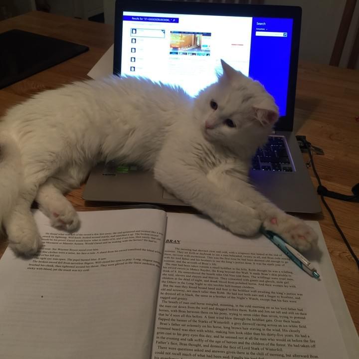 Doing homework is not fun