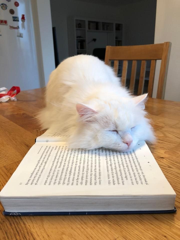 Reading makes me sleepy