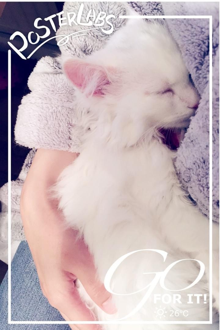 Sleep in mom's arms