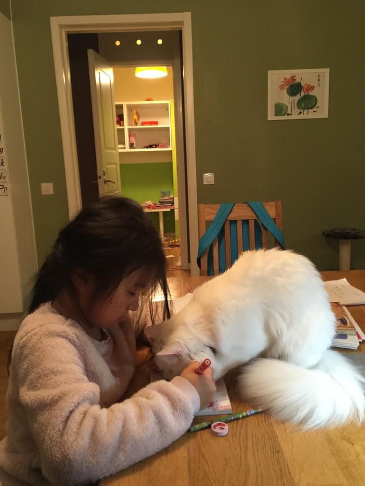 Let me see what you have written